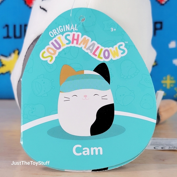 Squishmallow Cam the Cat 5" w/ Sun Visor UltraSoft Stuffed Animal Toy Plush NWT - Picture 5 of 6
